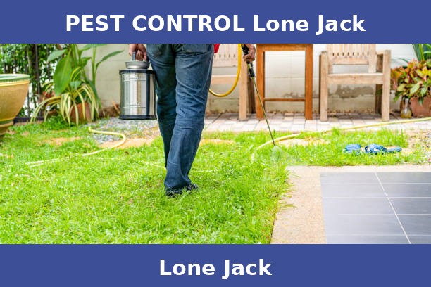 PEST CONTROL Lone Jack